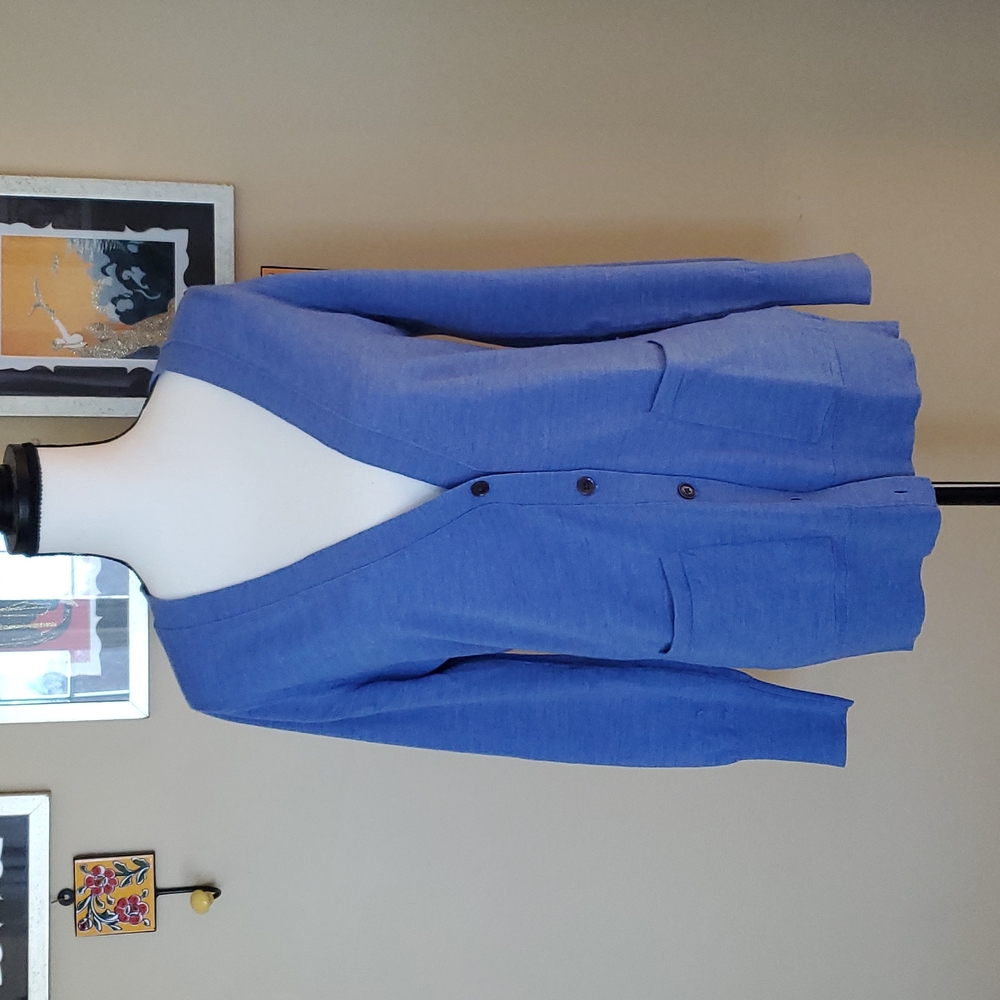 Banana Republic Merino Wool blue sweater
